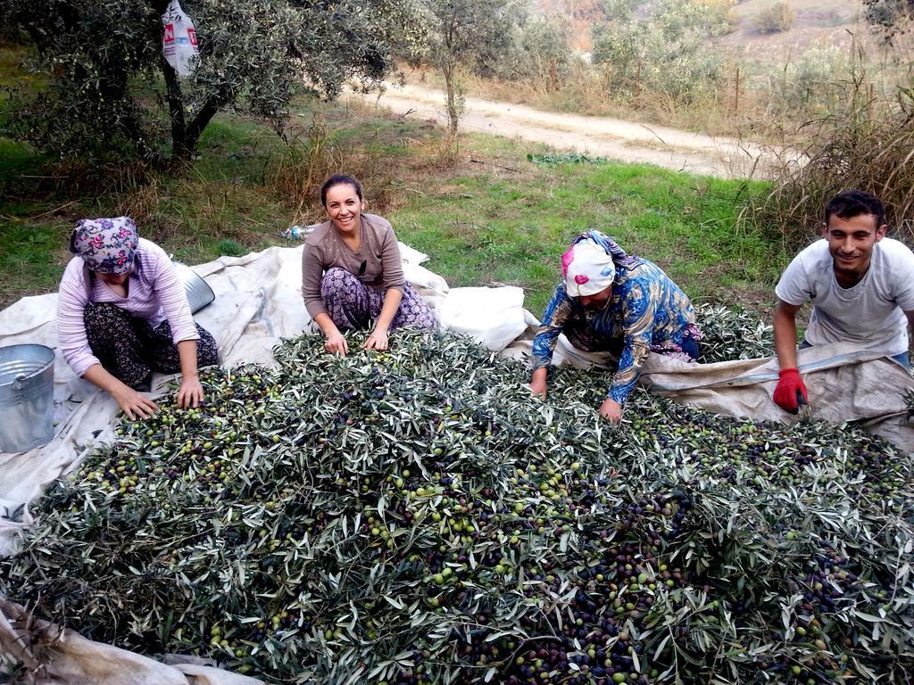 فندق نيسانيان سلجوك المظهر الخارجي الصورة